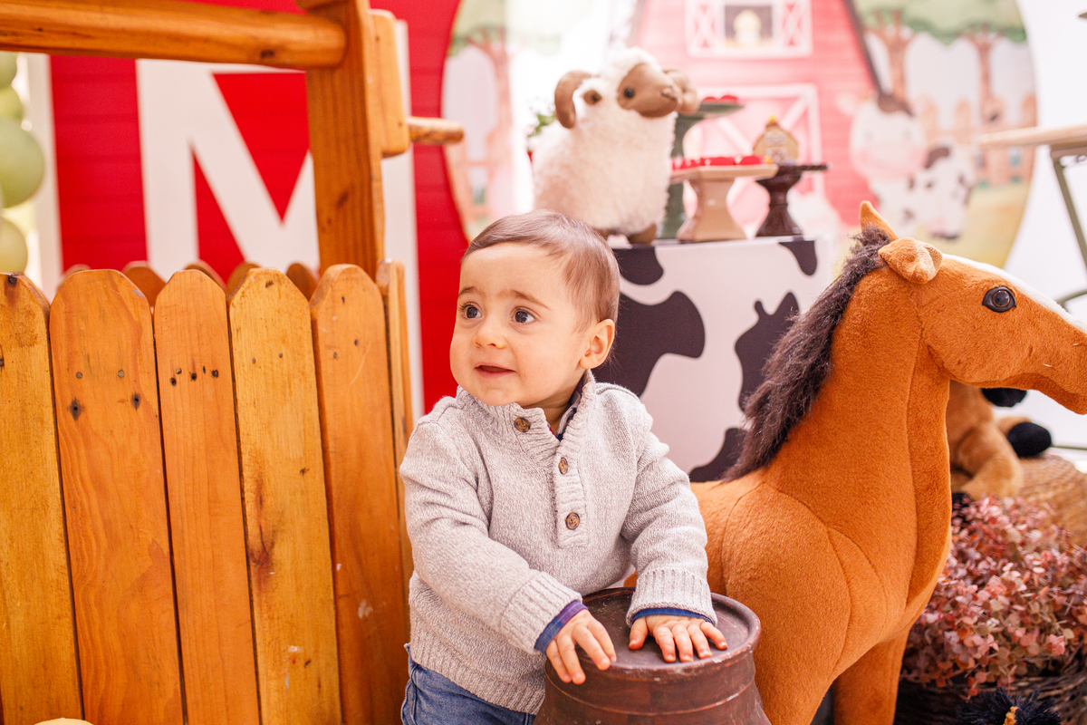 Fotografa familia curitiba - aniversario salvo de festas fazendinha