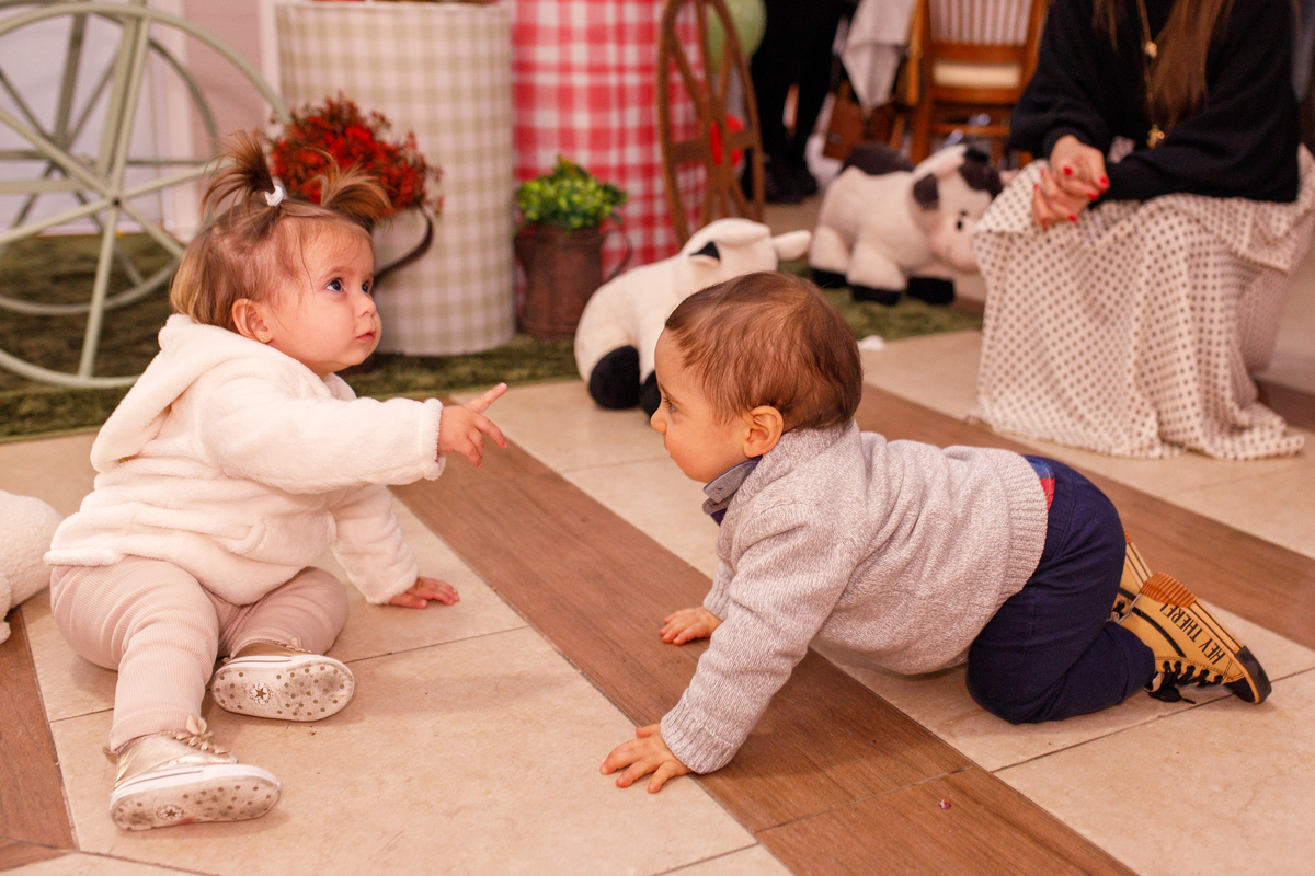 Fotografa familia curitiba - aniversario salvo de festas fazendinha