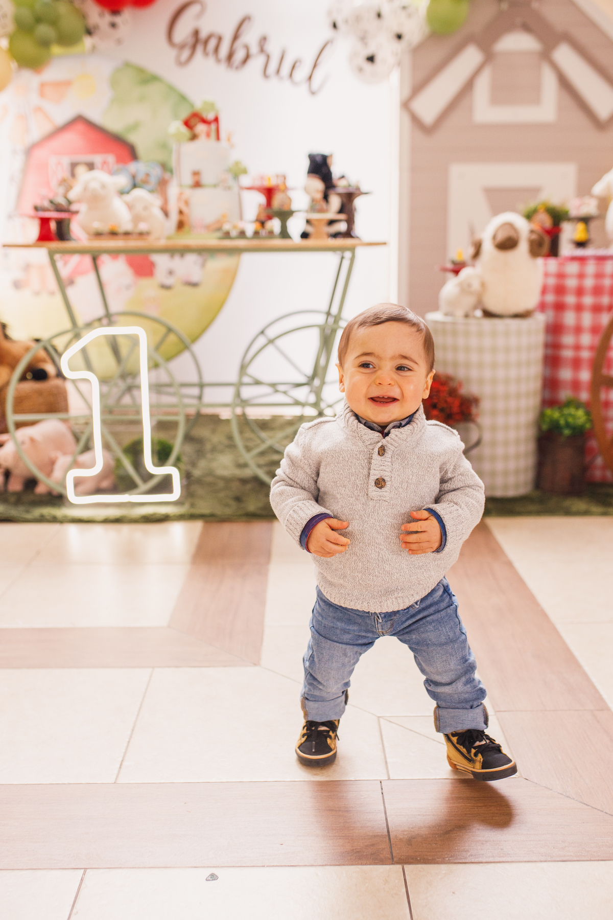 Fotografa familia curitiba - aniversario salvo de festas fazendinha