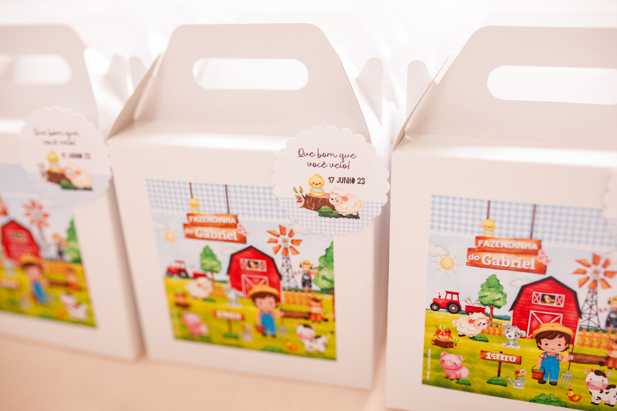 Fotografa familia curitiba - aniversario salvo de festas fazendinha