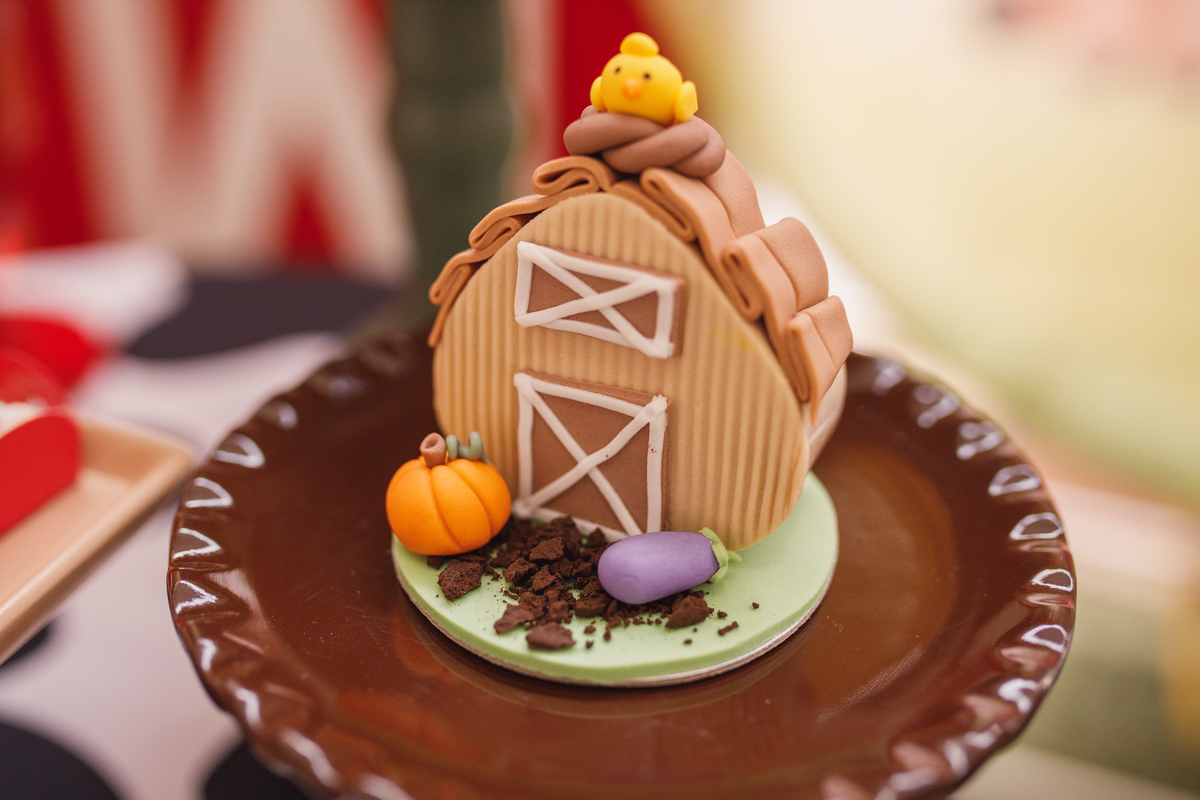 Fotografa familia curitiba - aniversario salvo de festas fazendinha