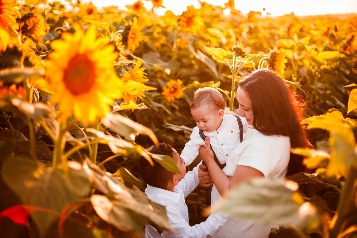 Fotografa familia Curitiba - Holambra São Paulo ensaio externo