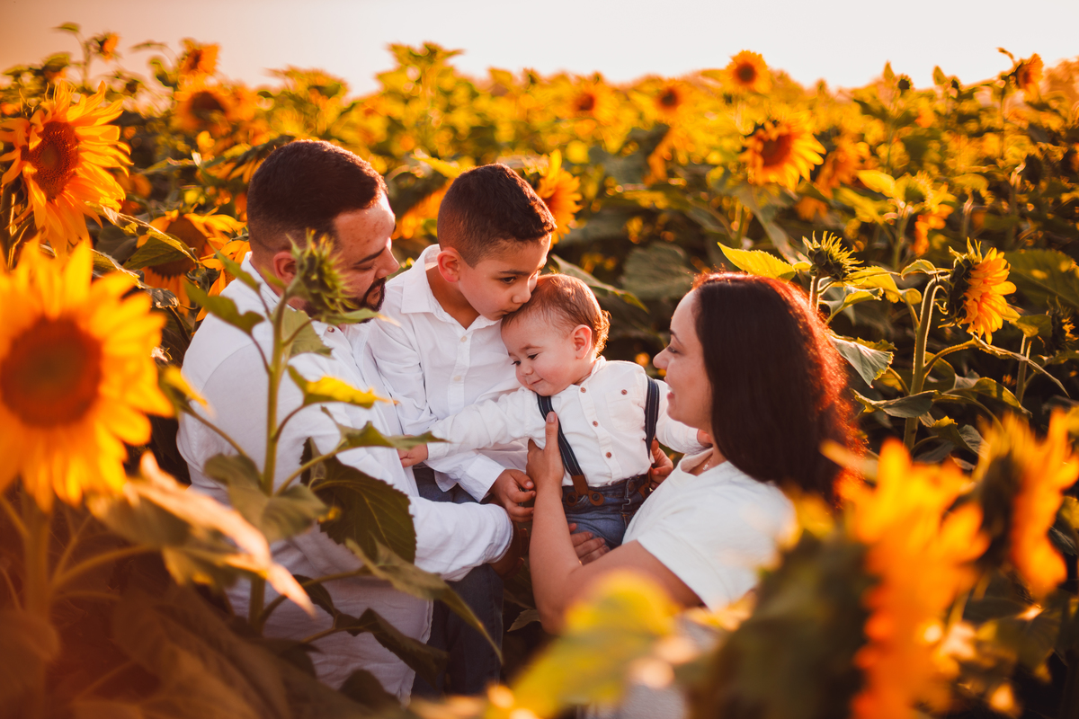 Fotografa familia Curitiba - Holambra São Paulo ensaio externo
