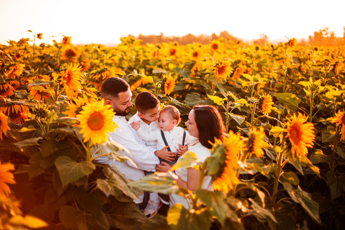 Fotografa familia Curitiba - Holambra São Paulo ensaio externo