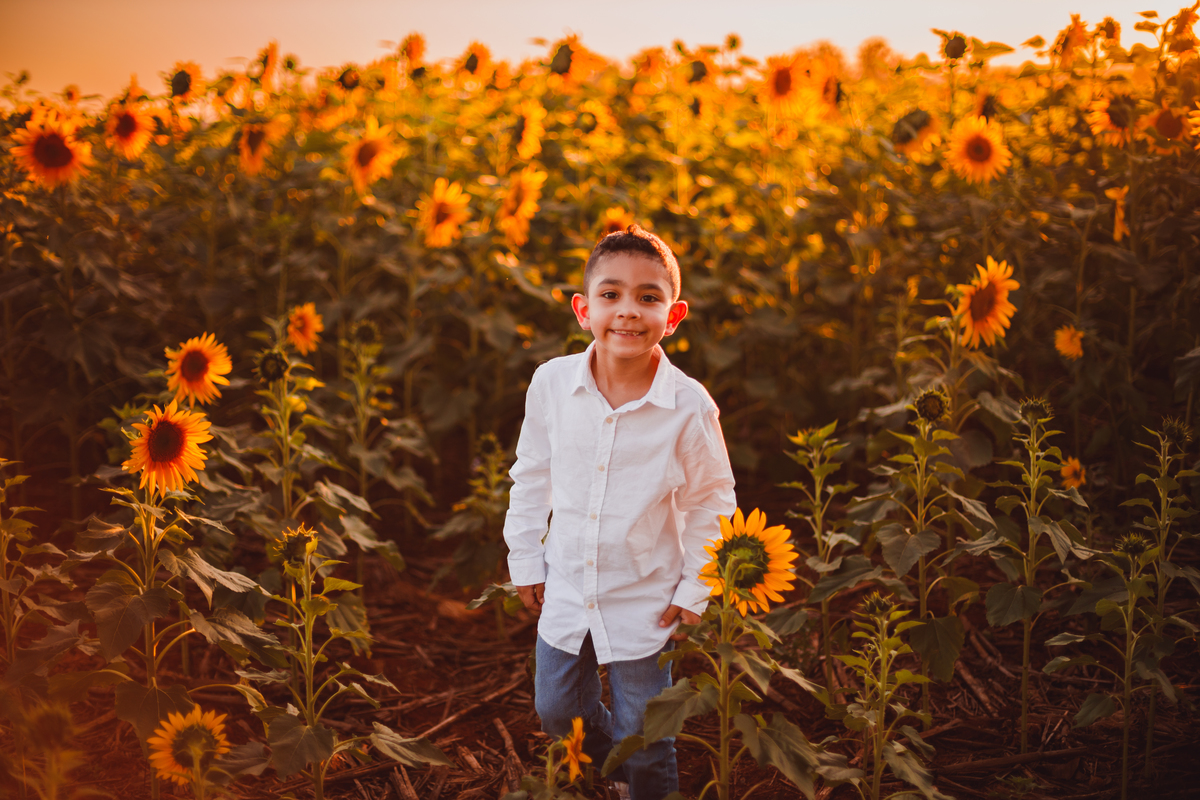 Fotografa familia Curitiba - Holambra São Paulo ensaio externo