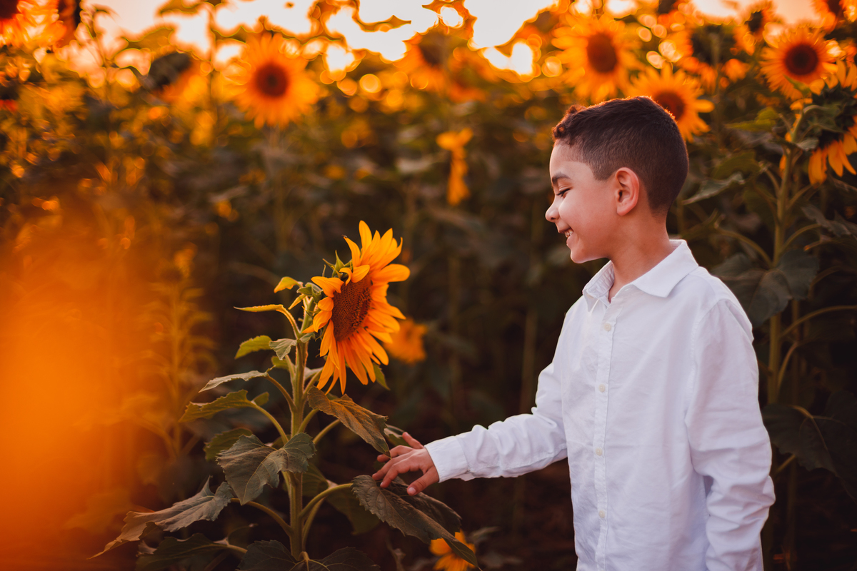 Fotografa familia Curitiba - Holambra São Paulo ensaio externo