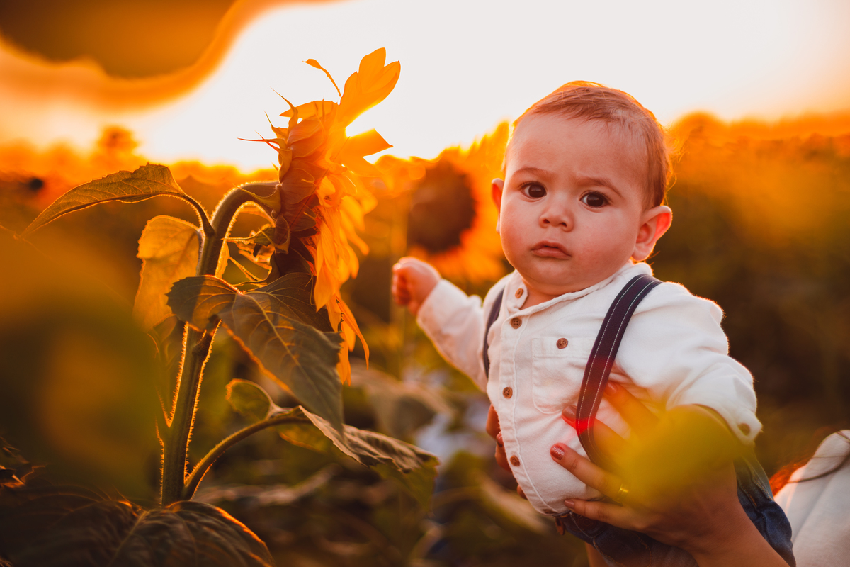 Fotografa familia Curitiba - Holambra São Paulo ensaio externo