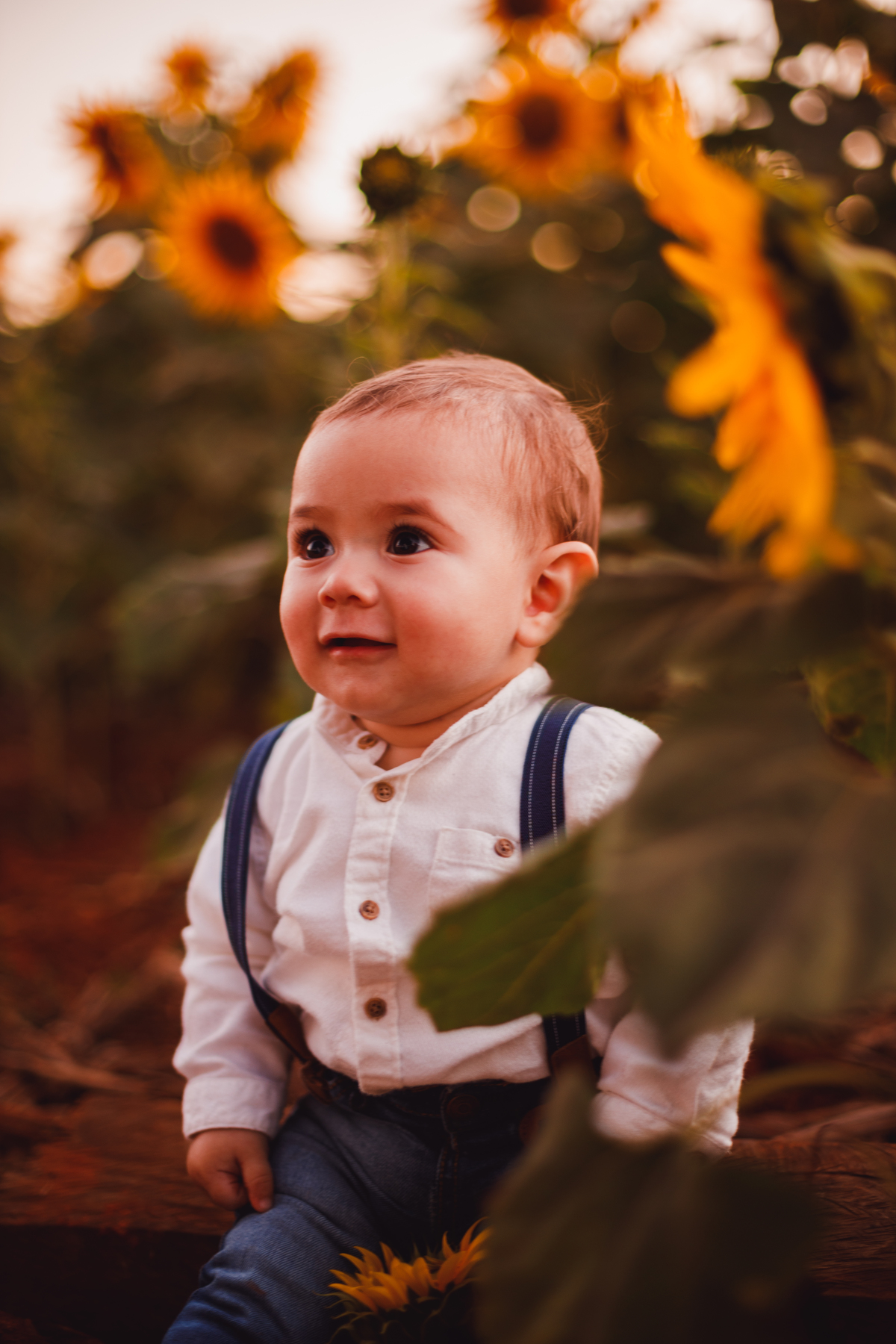 Fotografa familia Curitiba - Holambra São Paulo ensaio externo