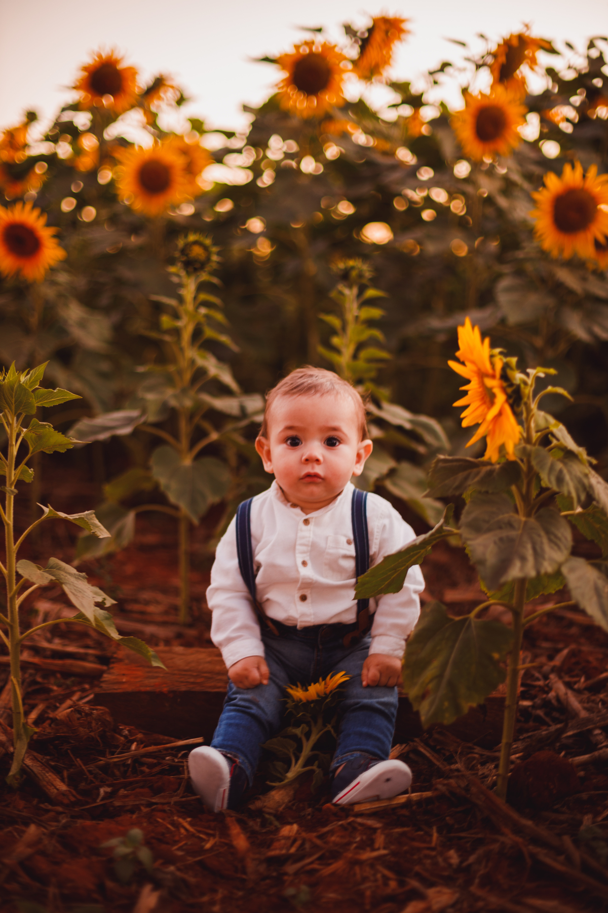 Fotografa familia Curitiba - Holambra São Paulo ensaio externo