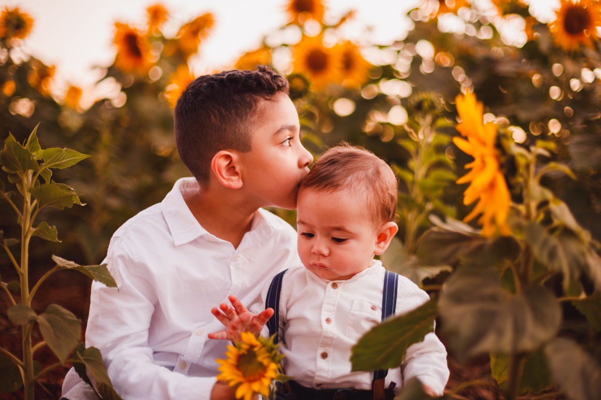 Fotografa familia Curitiba - Holambra São Paulo ensaio externo