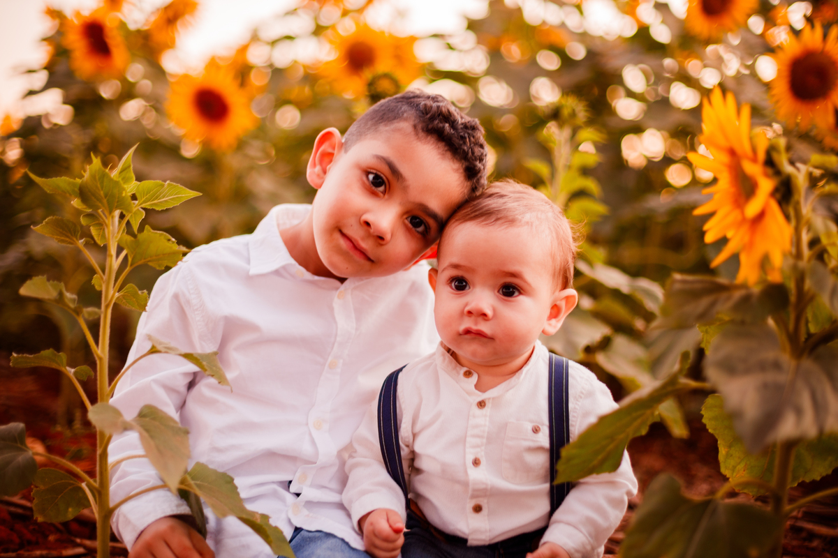 Fotografa familia Curitiba - Holambra São Paulo ensaio externo