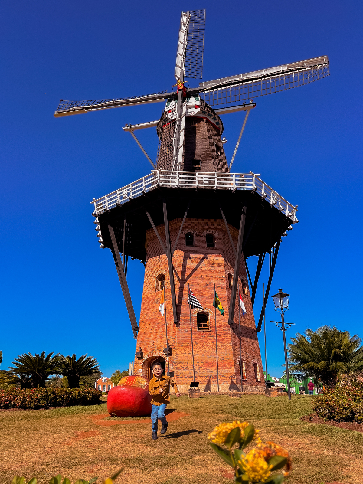 Fotografa familia Curitiba - Holambra São Paulo ensaio externo