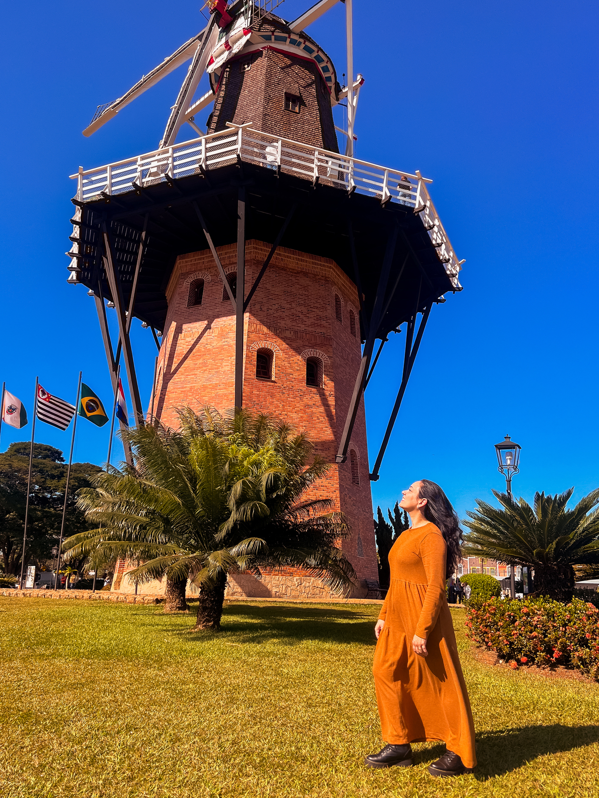Fotografa familia Curitiba - Holambra São Paulo ensaio externo