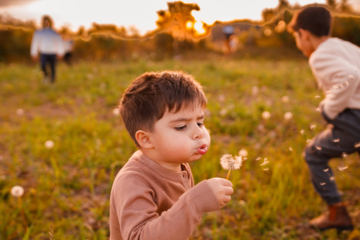 vFotografa familia Curitiba - Camping estância casa na arvore acampamento