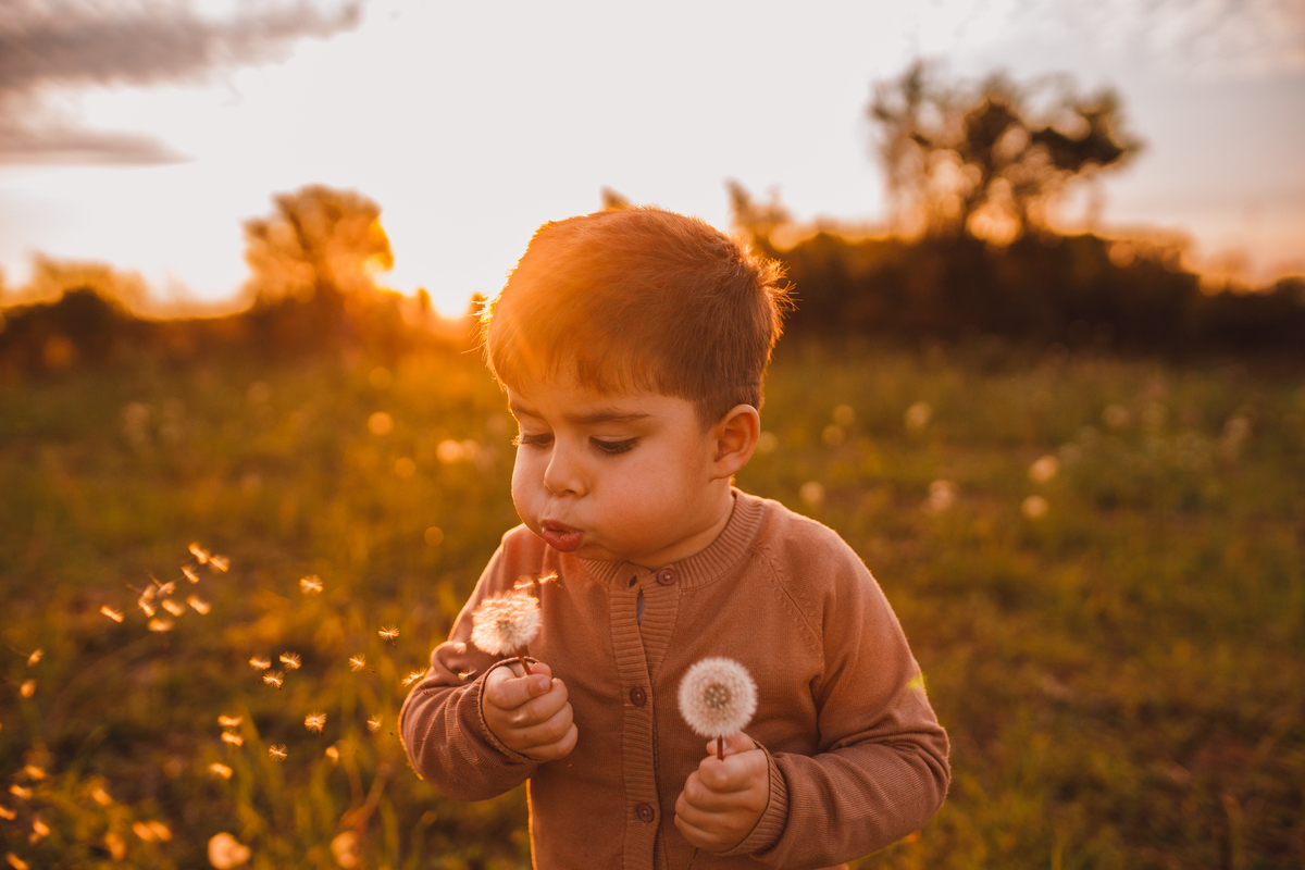 Fotografa familia Curitiba - Camping estância casa na arvore acampamento