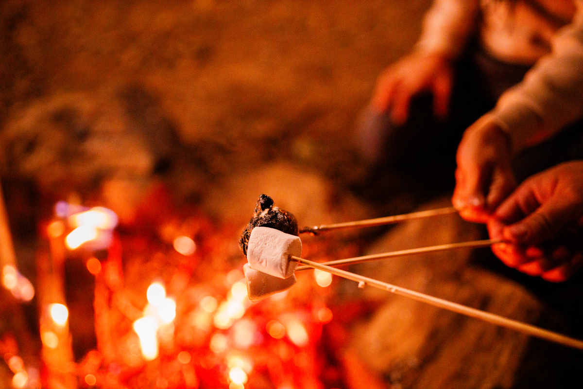 Fotografa familia Curitiba - Camping estância casa na arvore acampamento