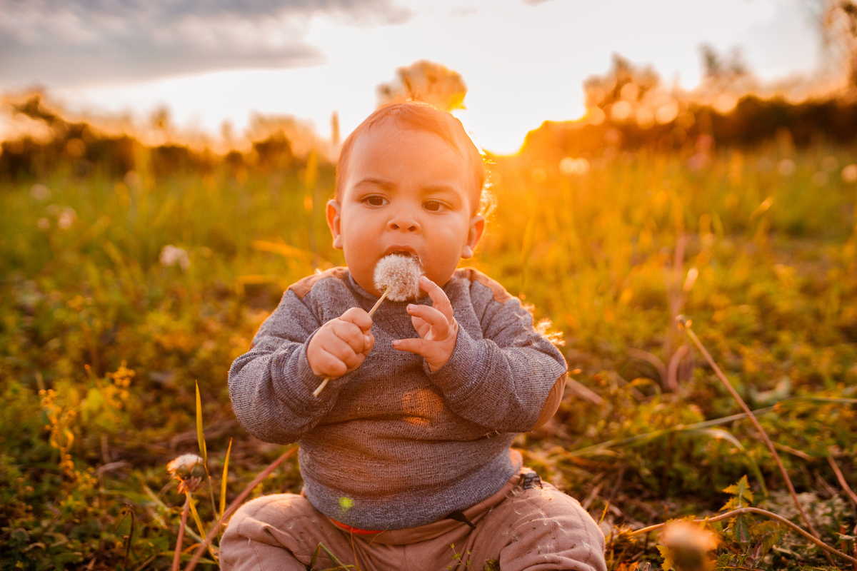 Fotografa familia Curitiba - Camping estância casa na arvore acampamento
