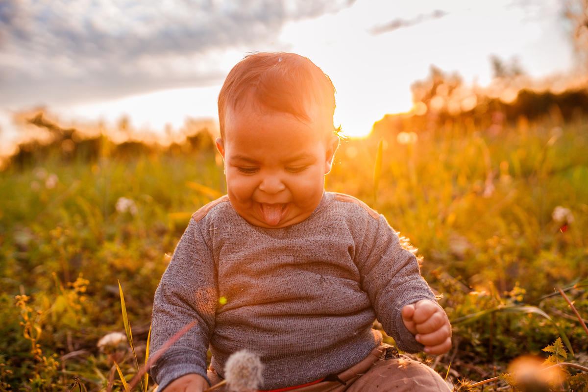 Fotografa familia Curitiba - Camping estância casa na arvore acampamento