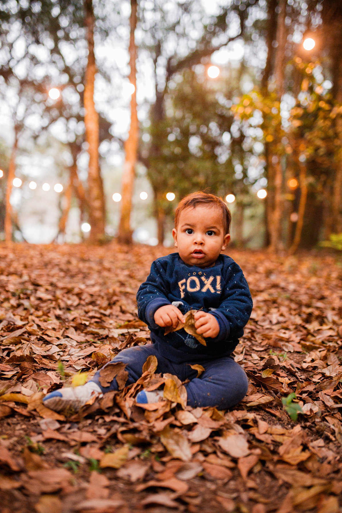 Fotografa familia Curitiba - Camping estância casa na arvore acampamento