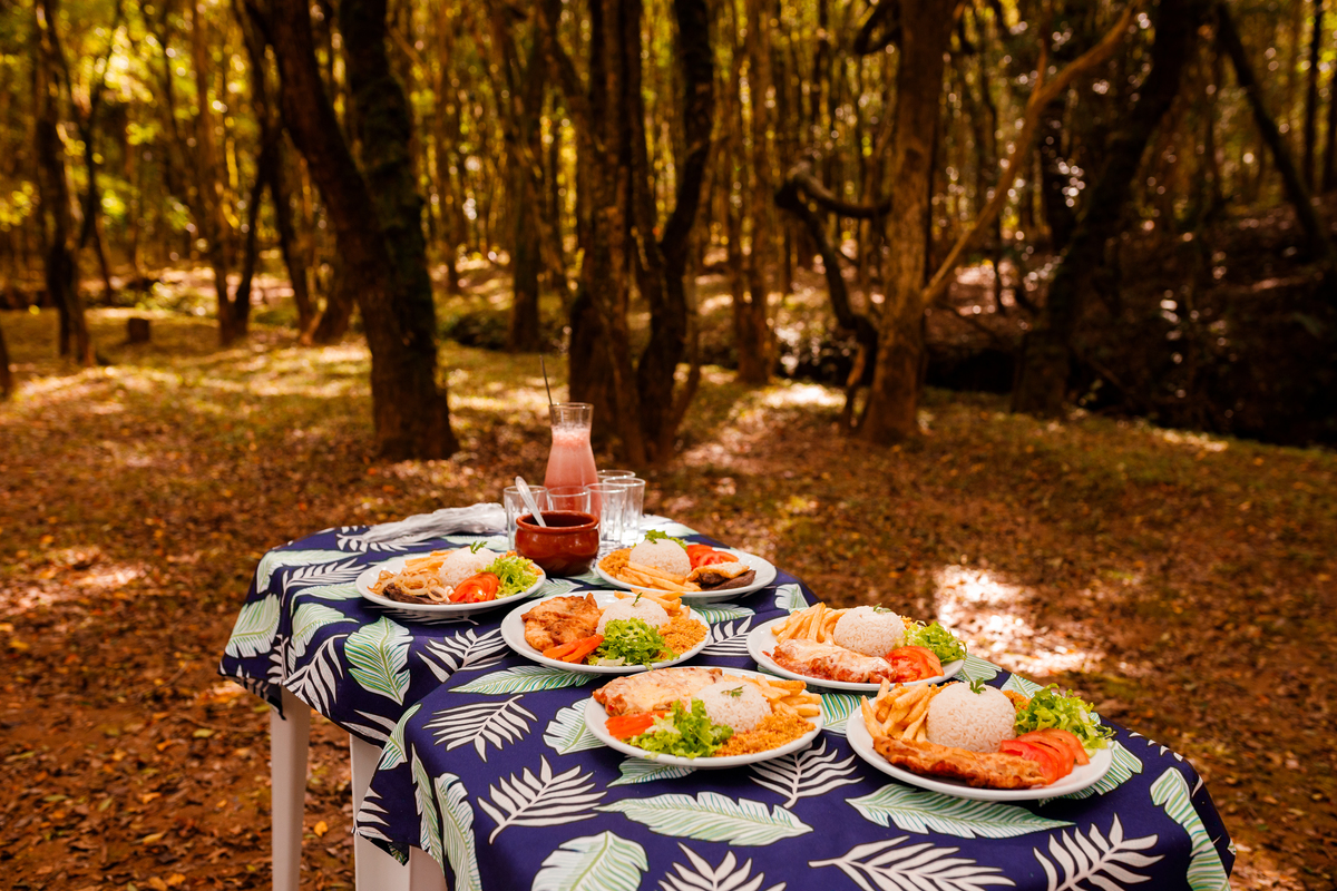 Fotografa familia Curitiba - Camping estância casa na arvore acampamento