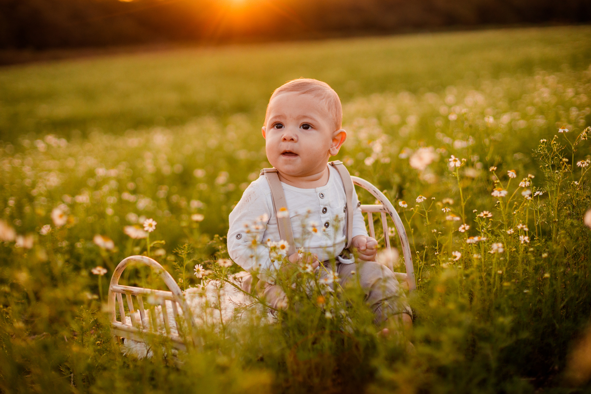 Fotografa familia Curitiba - ensaio externo bebe camomila Mandirituba