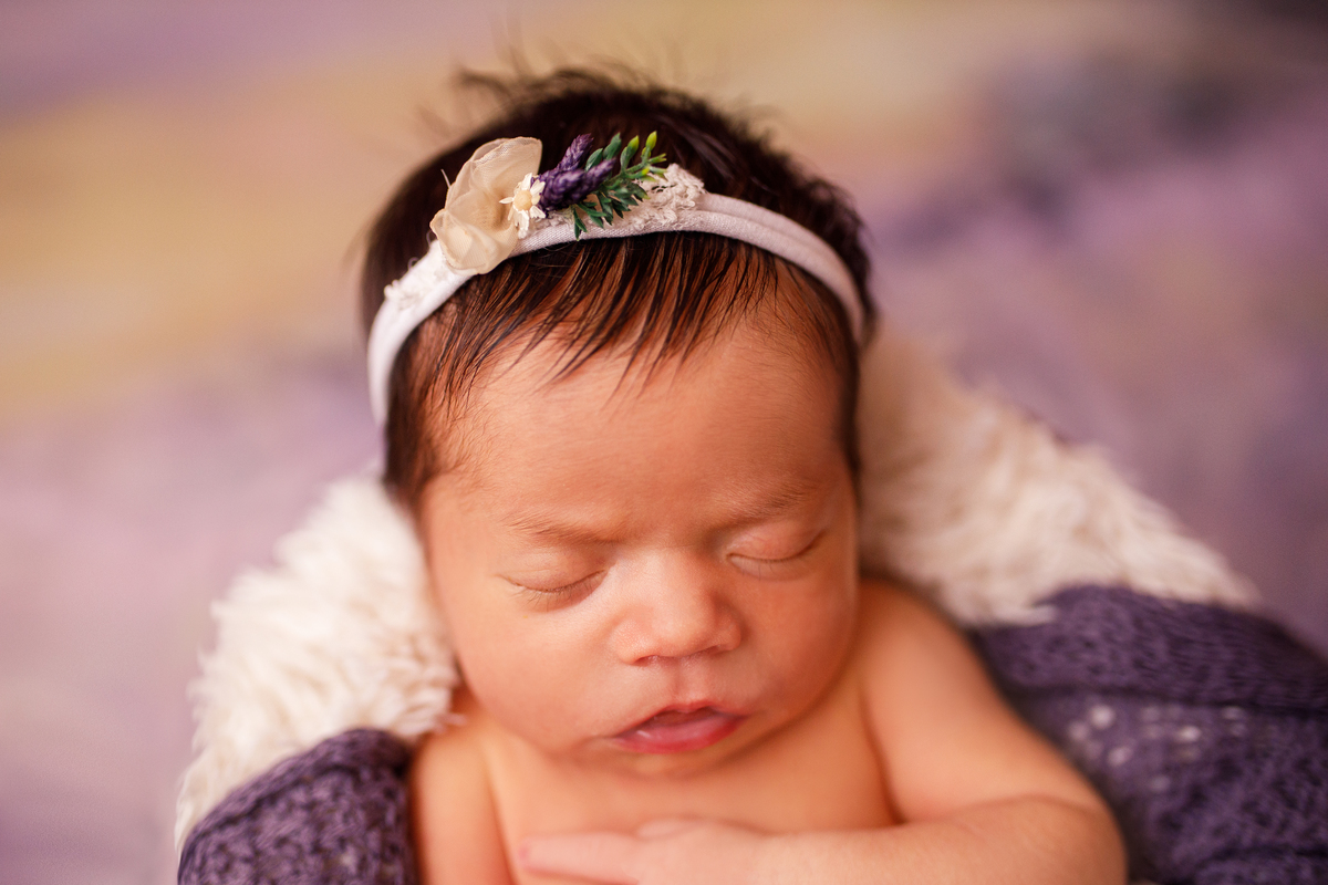 Fotografa familia Curitiba - Newborn bebe menina lavanda 