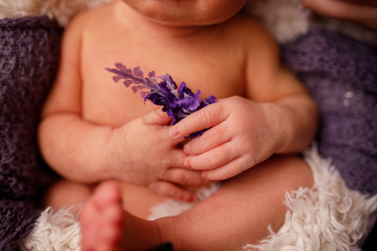 Fotografa familia Curitiba - Newborn bebe menina lavanda 