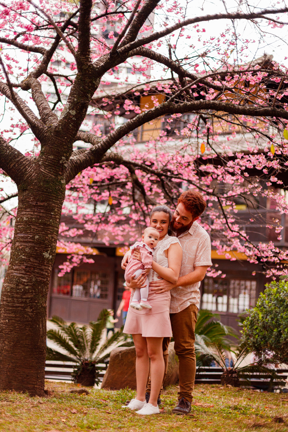 Fotografa familia Curitiba - ensaio externo cerejeiras praça do Japão bebê meninaFotografa familia Curitiba - ensaio externo cerejeiras praça do Japão bebê menina