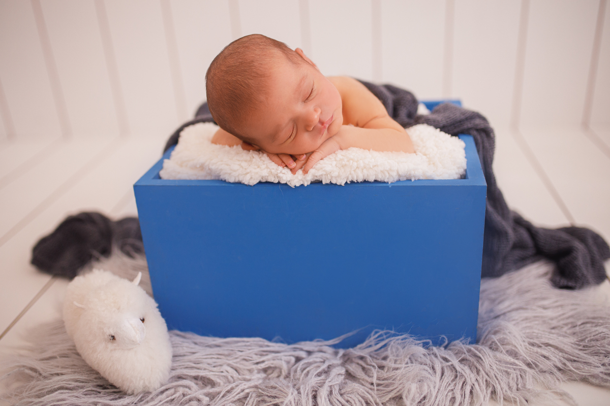 Fotografa familia Curitiba - Newborn estúdio estrelas