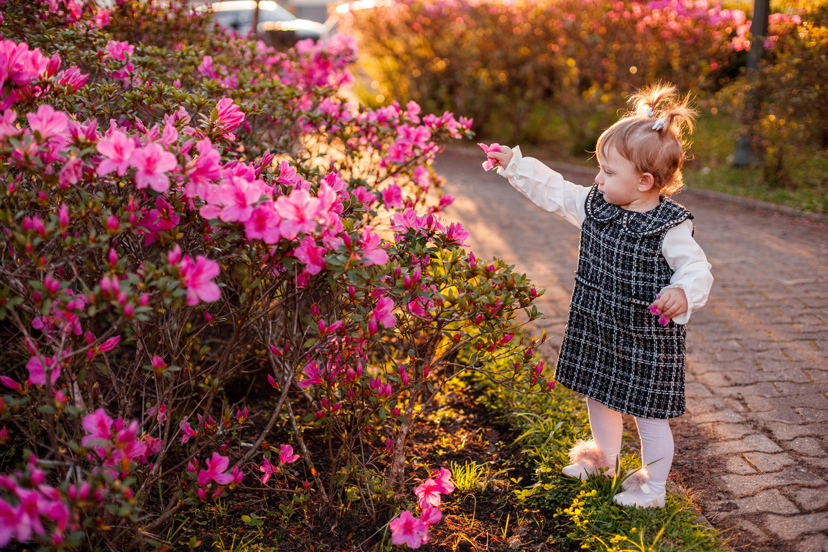 Fotografa familia Curitiba - ensaio externo cerejeiras bebê 
