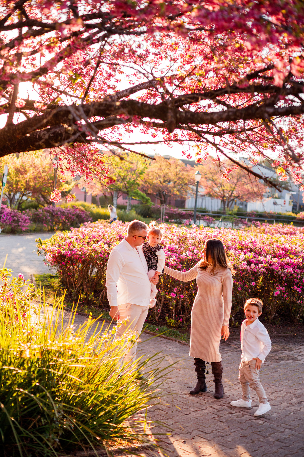 Fotografa familia Curitiba - ensaio externo cerejeiras bebê 