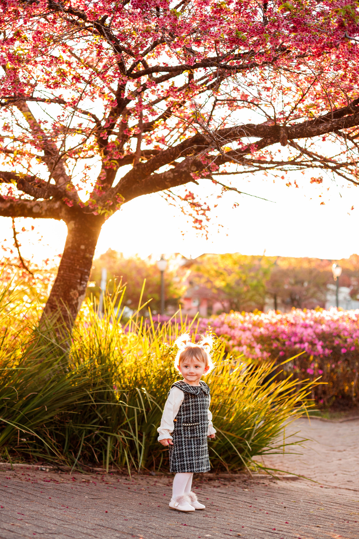 Fotografa familia Curitiba - ensaio externo cerejeiras bebê 