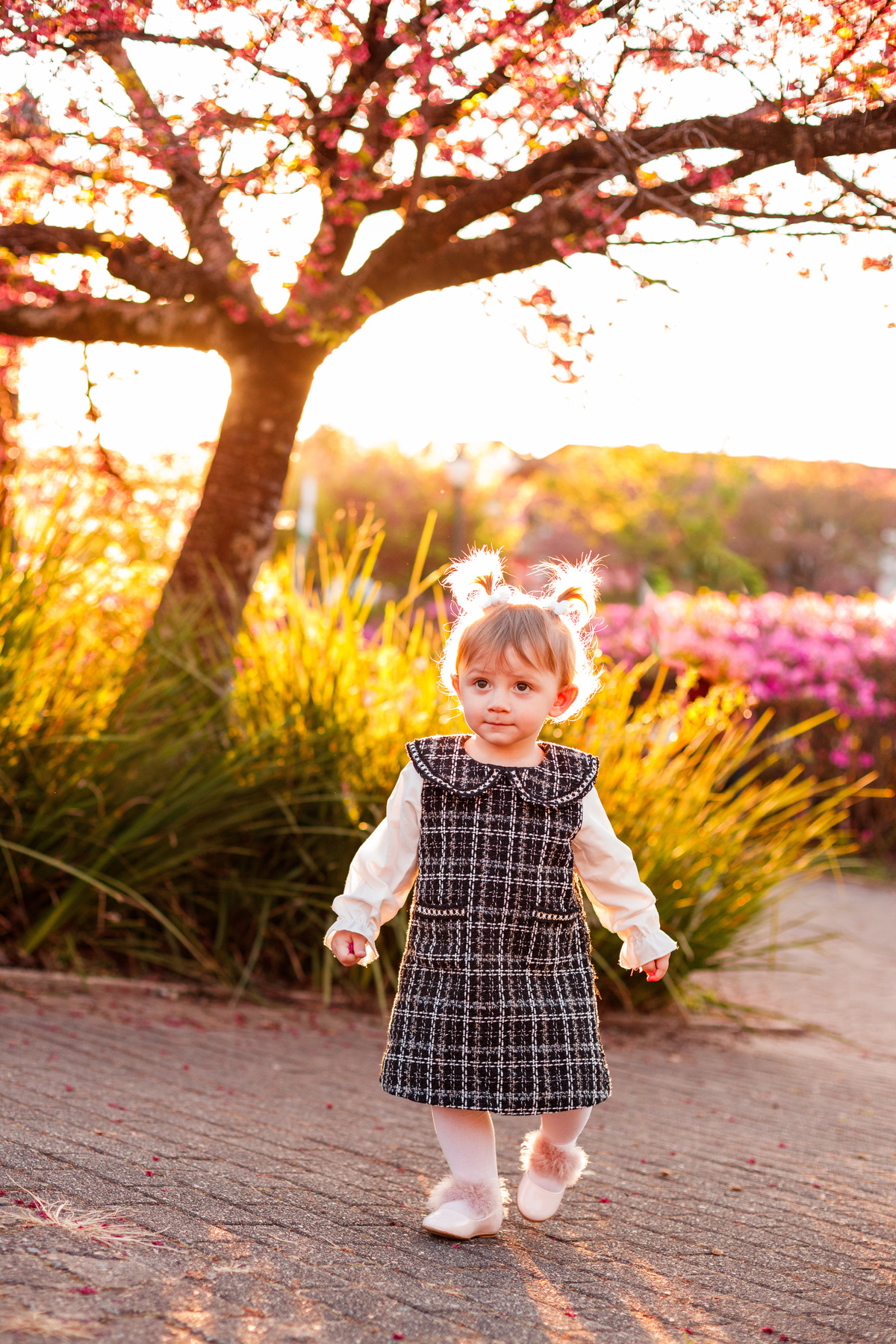 Fotografa familia Curitiba - ensaio externo cerejeiras bebê 