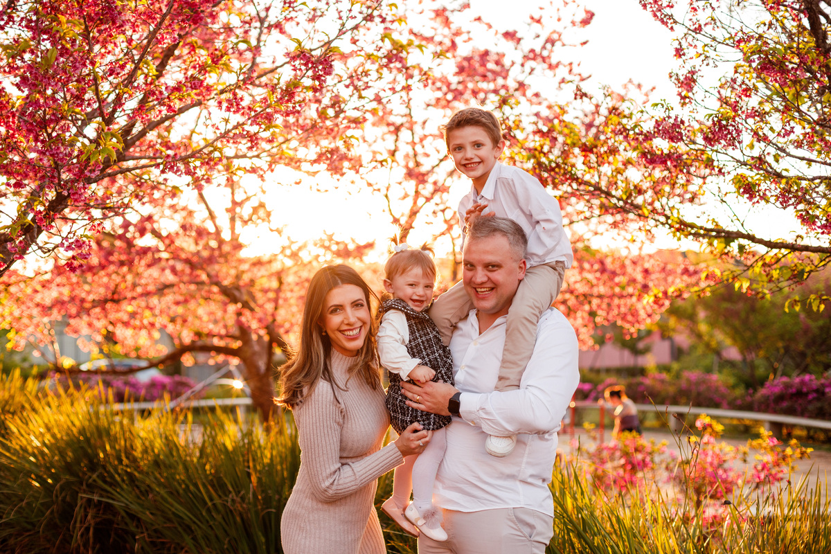 Fotografa familia Curitiba - ensaio externo cerejeiras bebê 