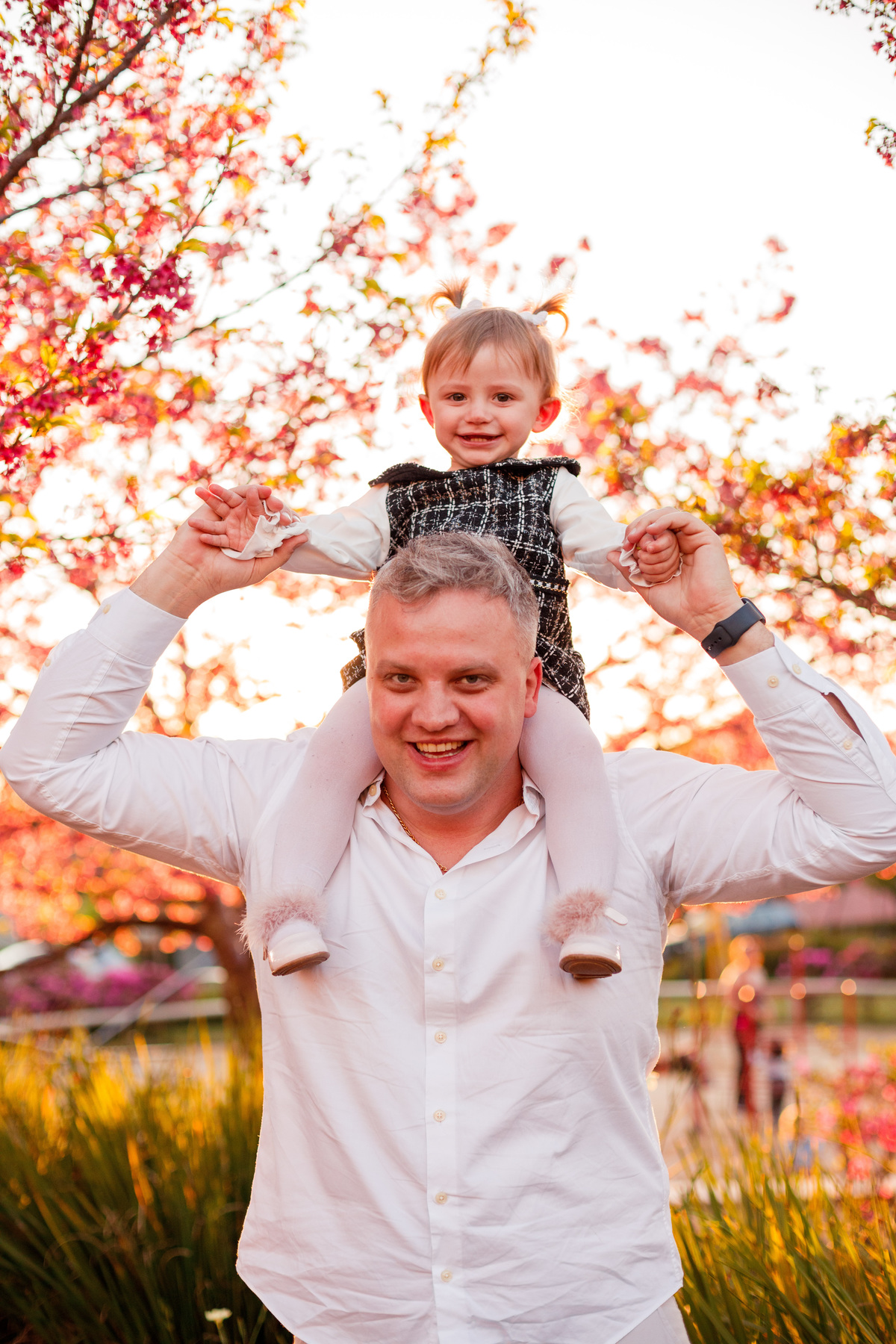 Fotografa familia Curitiba - ensaio externo cerejeiras bebê 