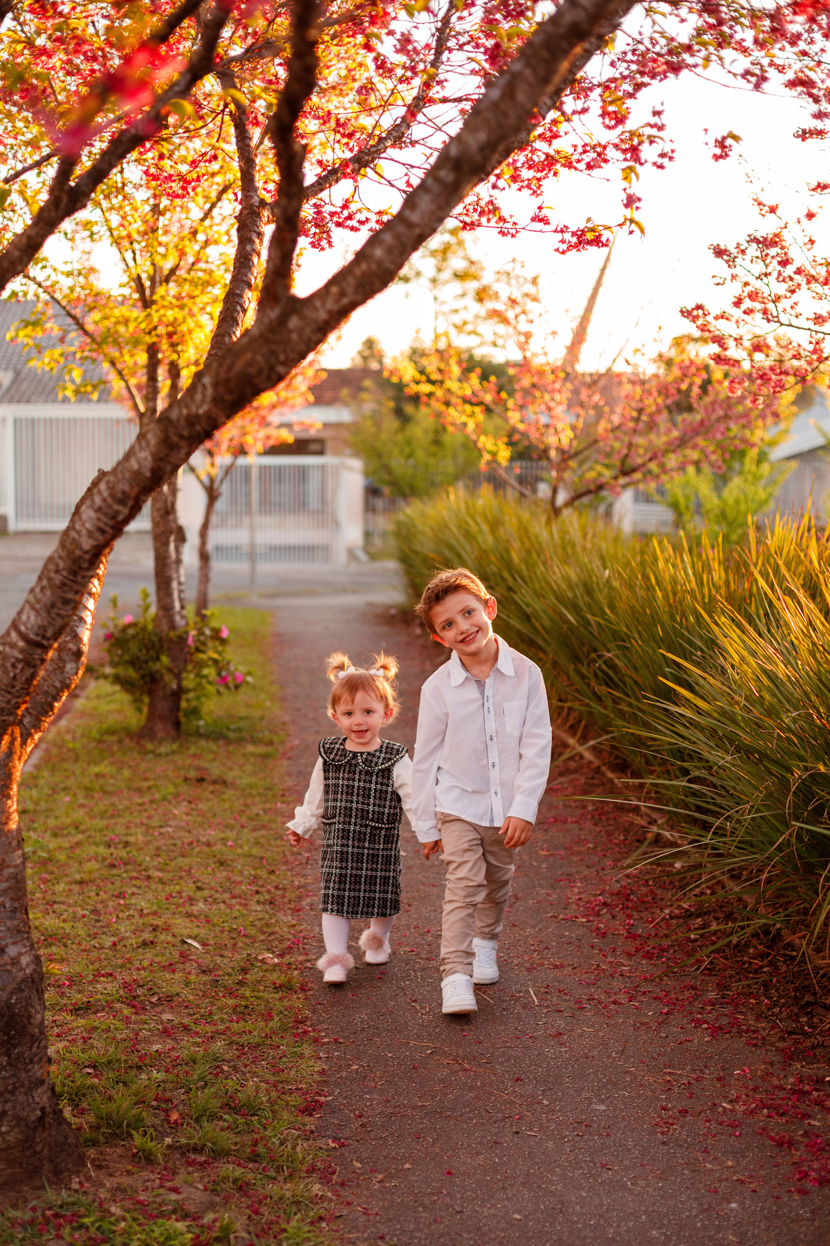 Fotografa familia Curitiba - ensaio externo cerejeiras bebê 