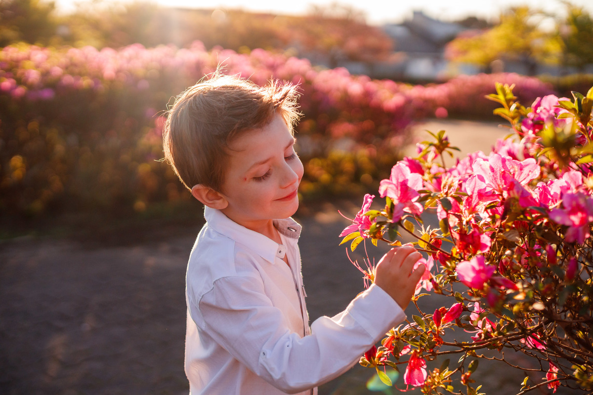 Fotografa familia Curitiba - ensaio externo cerejeiras bebê 