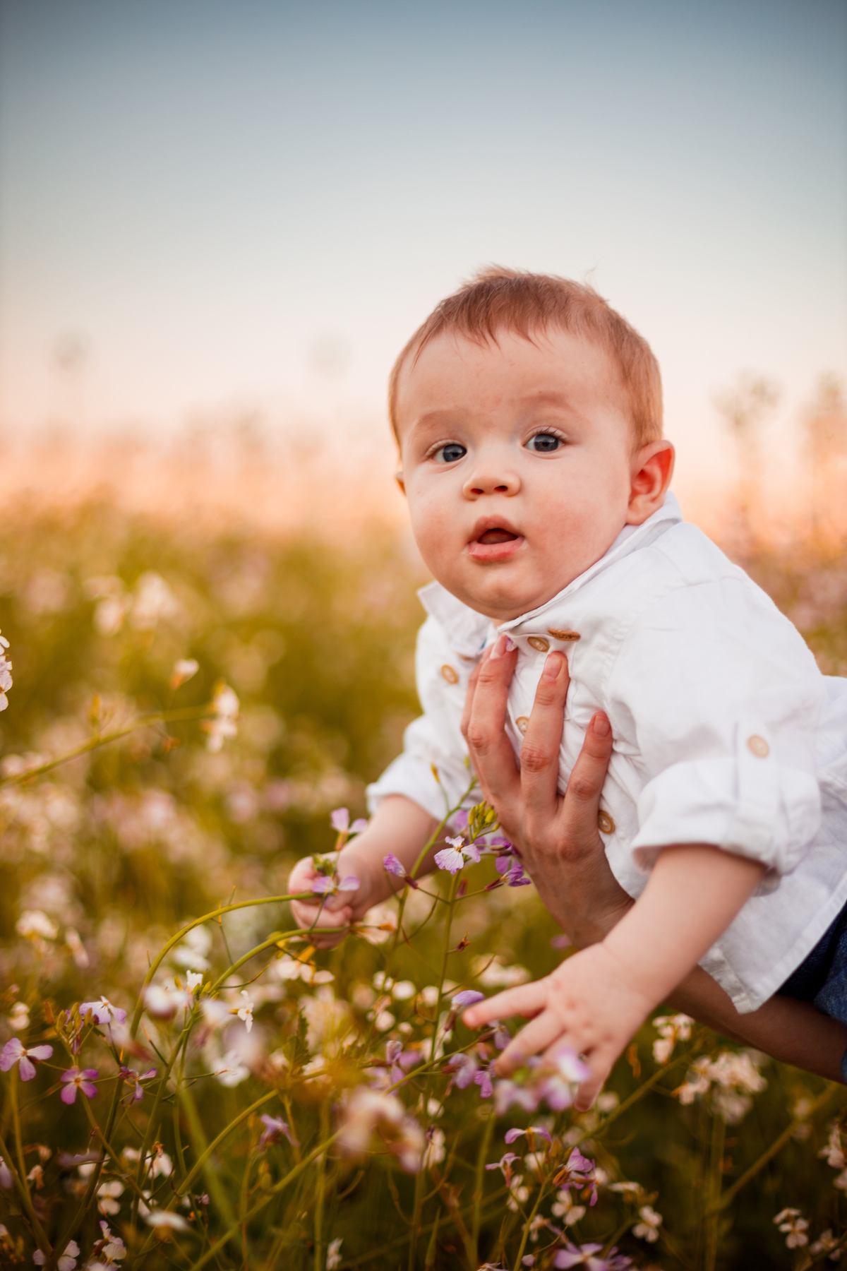 Fotografa familia Curitiba - picnic bebes lavatório por do sol