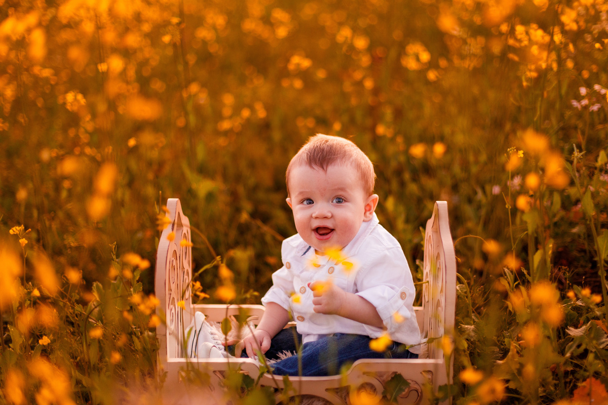 Fotografa familia Curitiba - picnic bebes lavatório por do sol