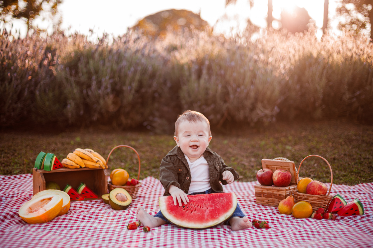 Fotografa familia Curitiba - picnic bebes lavatório por do sol