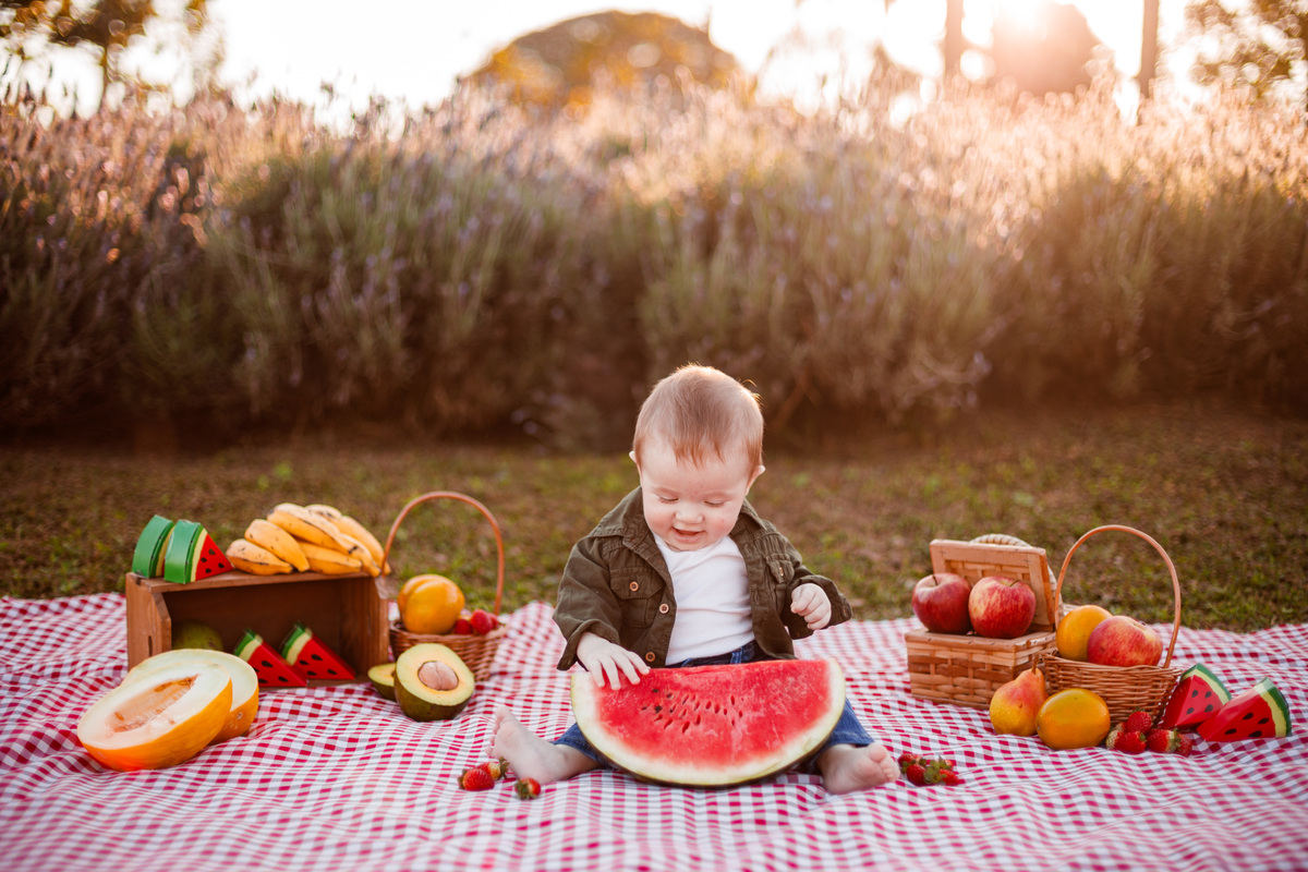 Fotografa familia Curitiba - picnic bebes lavatório por do sol
