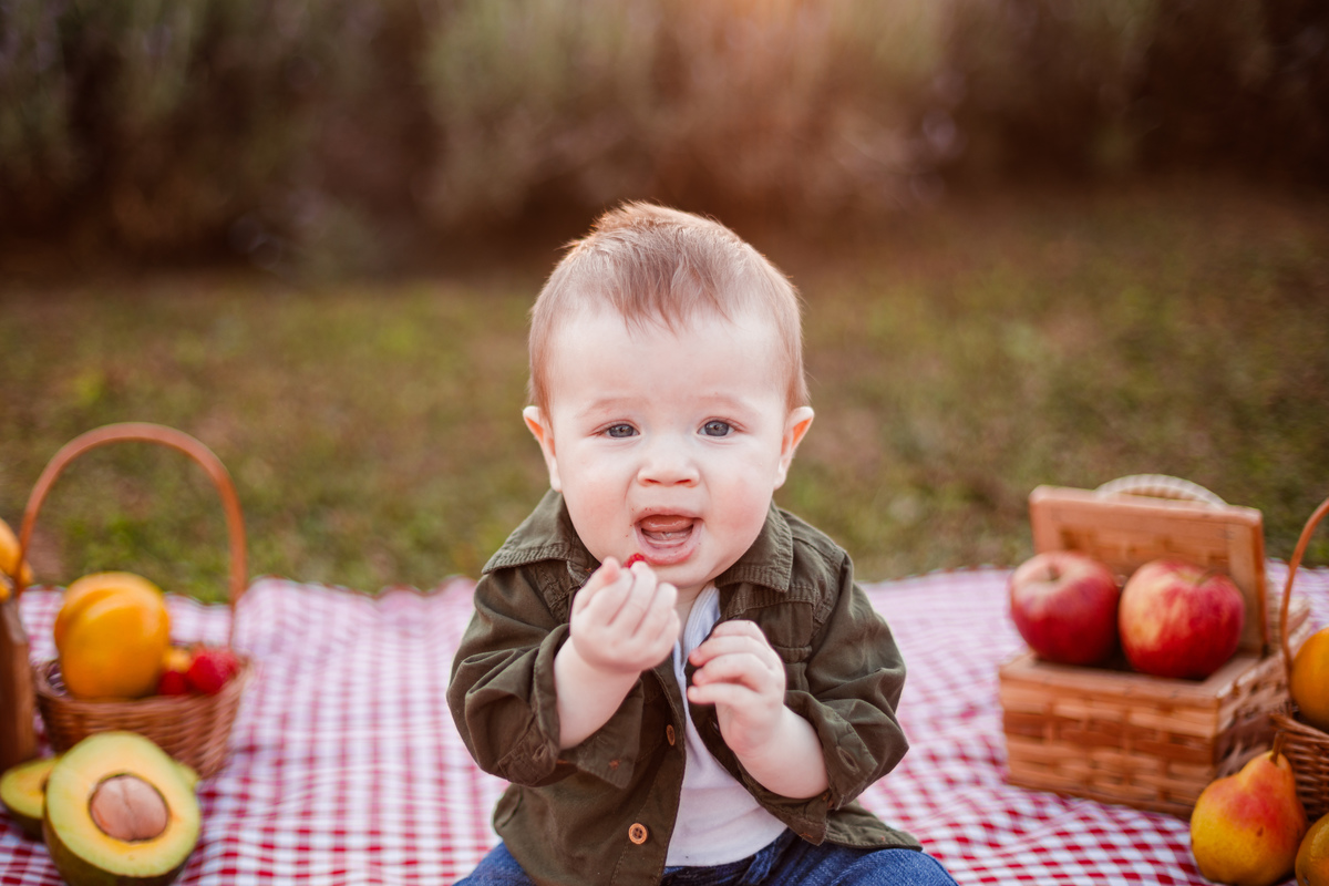 Fotografa familia Curitiba - picnic bebes lavatório por do sol