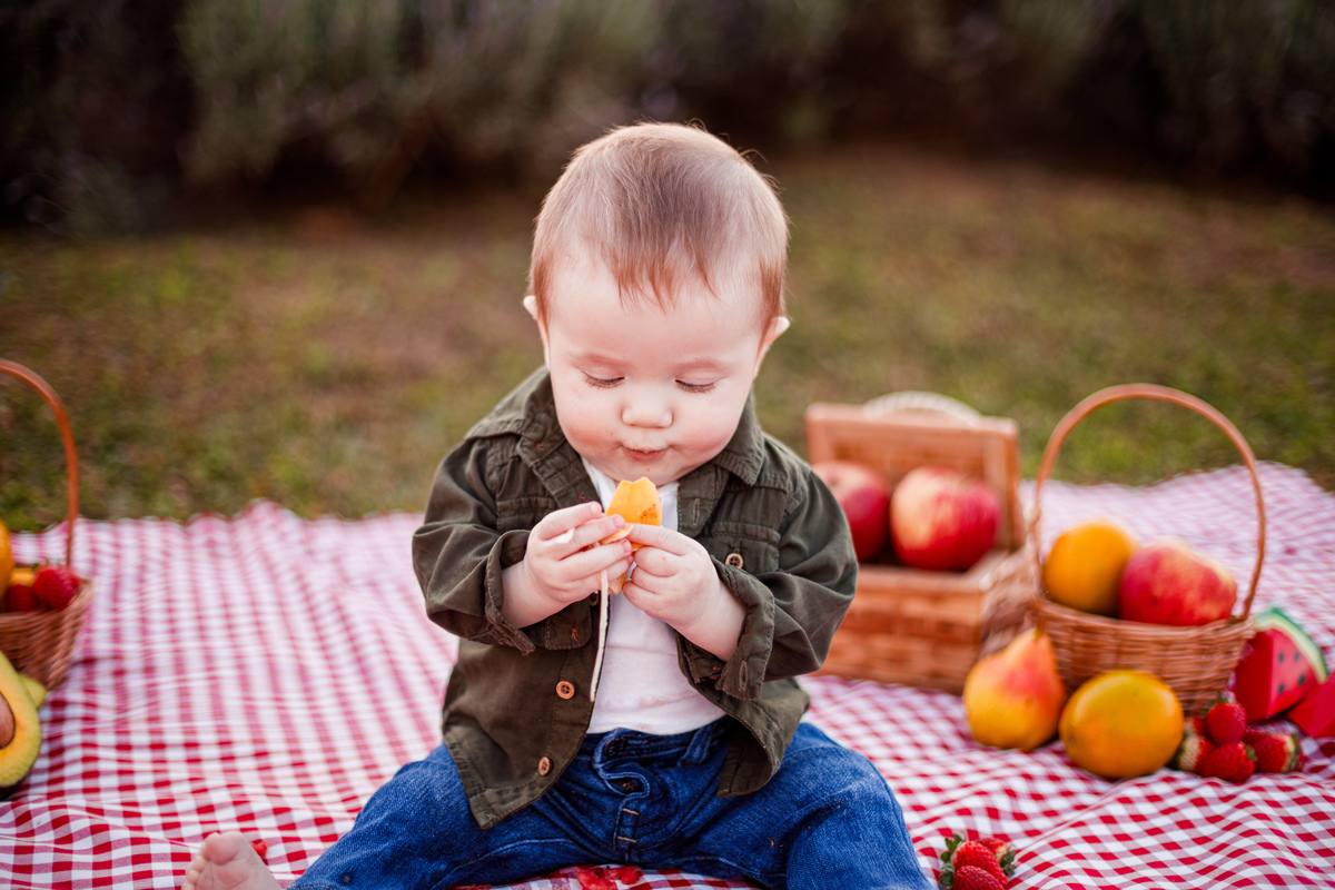 Fotografa familia Curitiba - picnic bebes lavatório por do sol