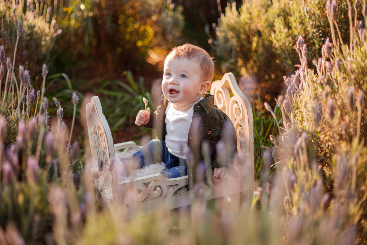 Fotografa familia Curitiba - picnic bebes lavatório por do sol