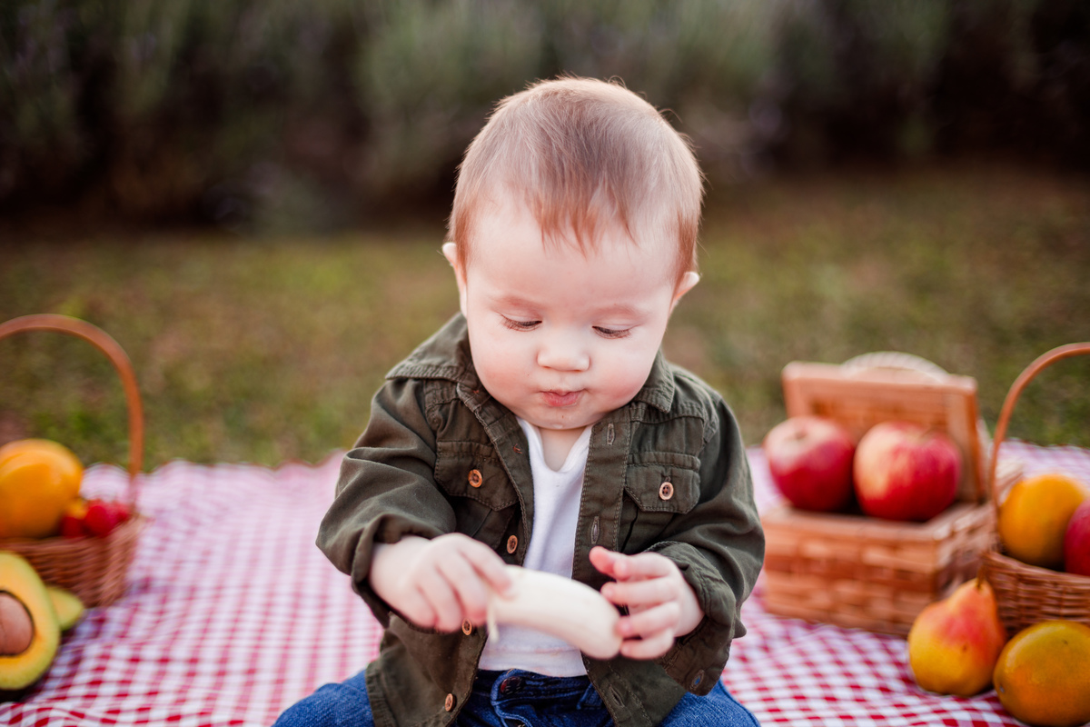 Fotografa familia Curitiba - picnic bebes lavatório por do sol