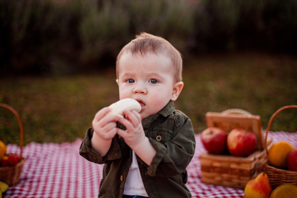 Fotografa familia Curitiba - picnic bebes lavatório por do sol