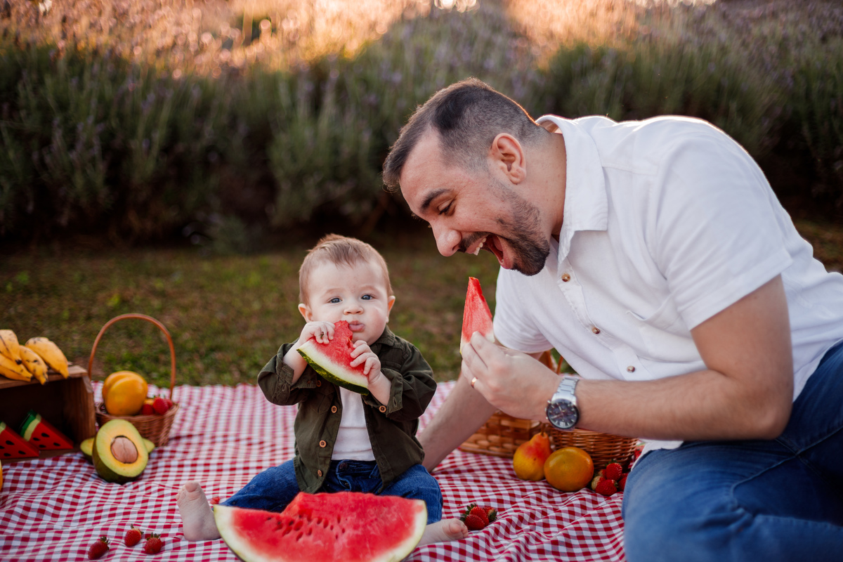 Fotografa familia Curitiba - picnic bebes lavatório por do sol