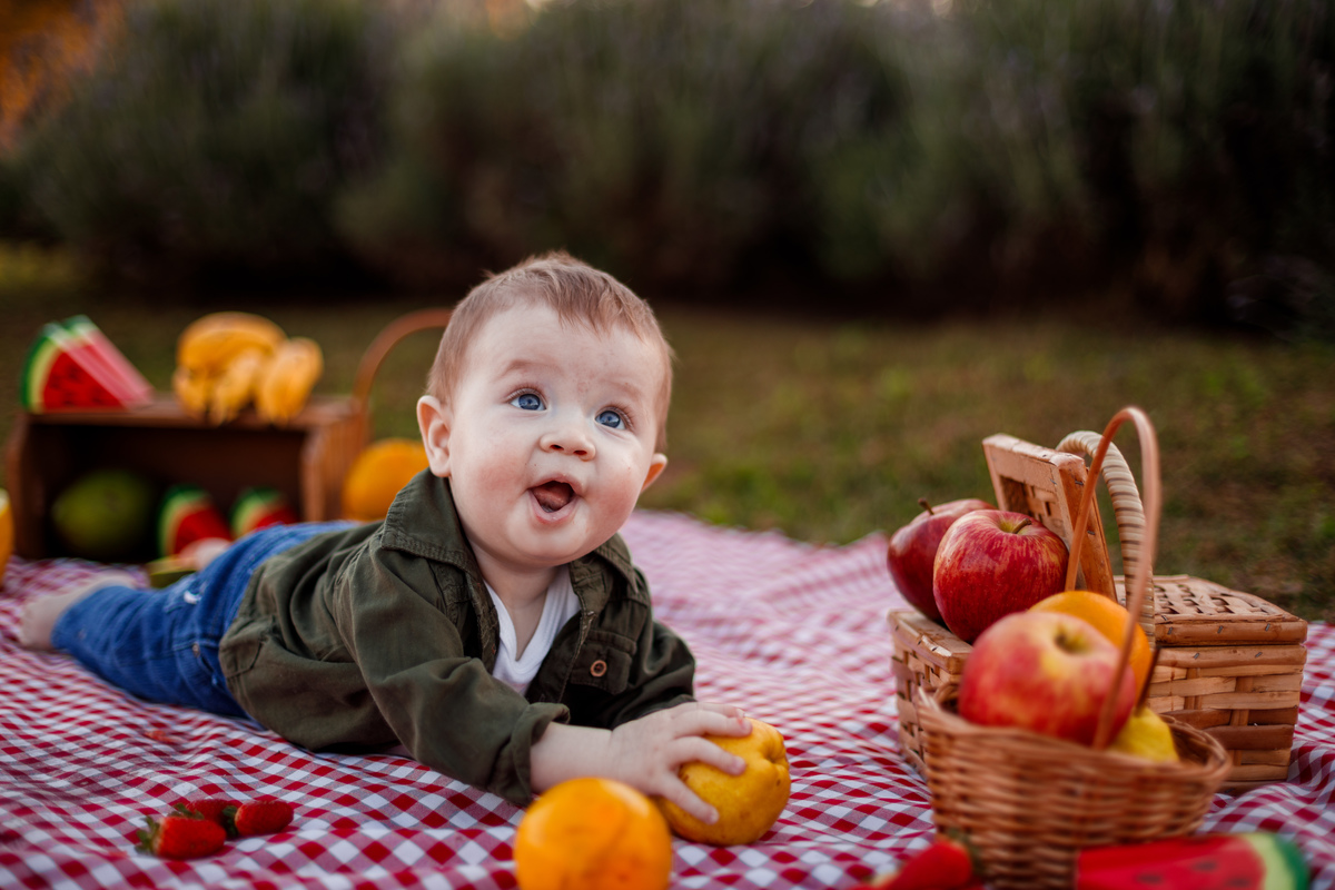Fotografa familia Curitiba - picnic bebes lavatório por do sol
