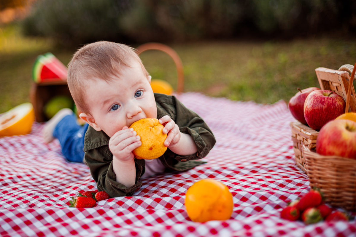 Fotografa familia Curitiba - picnic bebes lavatório por do sol