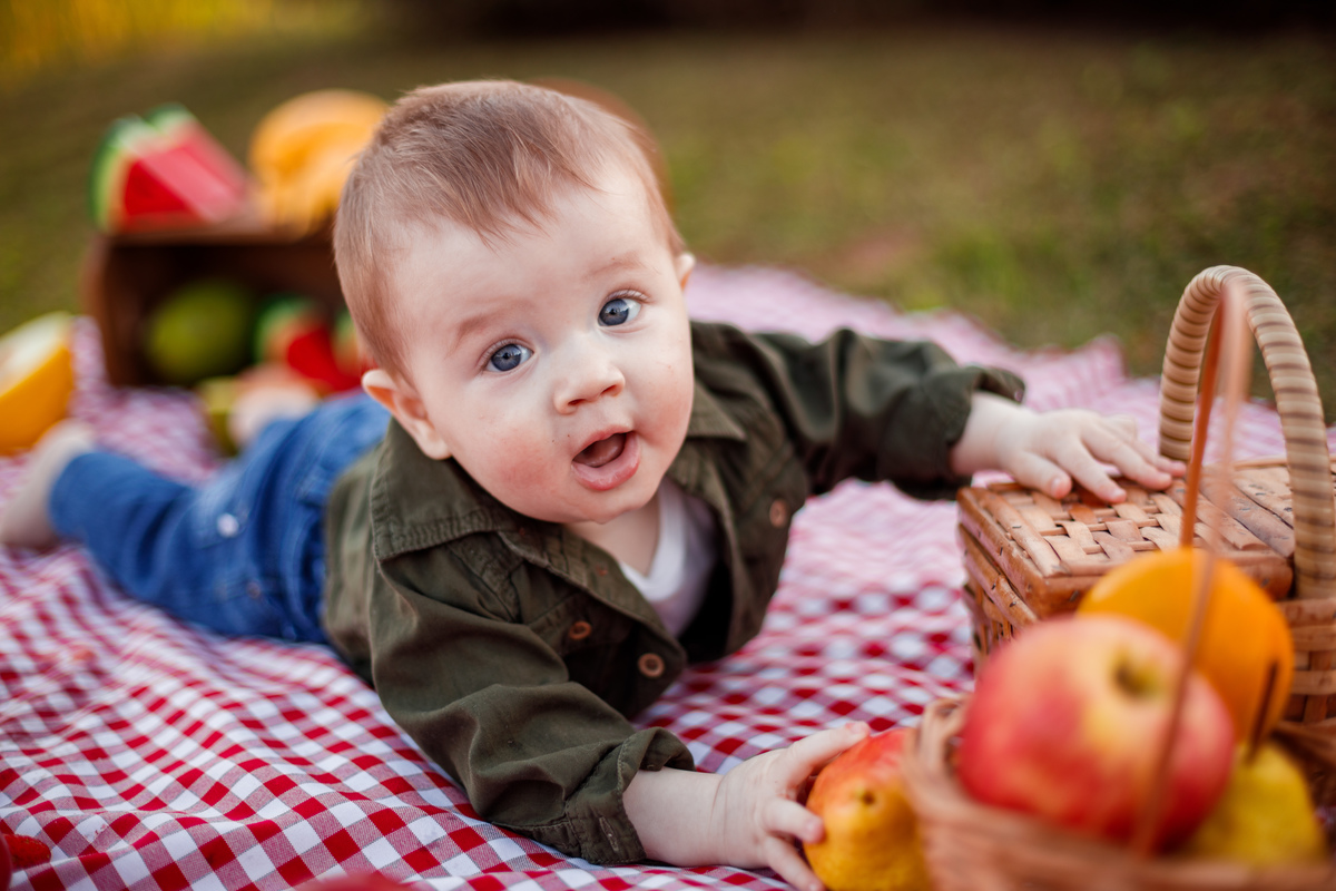 Fotografa familia Curitiba - picnic bebes lavatório por do sol